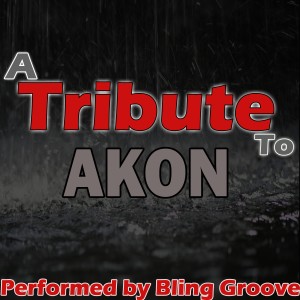 อัลบัม A Tribute to Akon ศิลปิน Bling Groove
