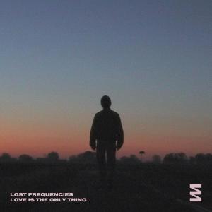 อัลบัม Love Is The Only Thing ศิลปิน Lost Frequencies