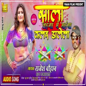 Listen to Sala Colour Dalela song with lyrics from Rajesh Chauhan