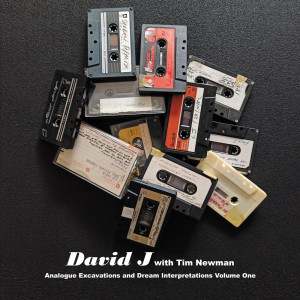 Album Analogue Excavations & Dream Interpretations Vol.1 from David J