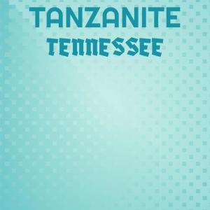 Various的专辑Tanzanite Tennessee