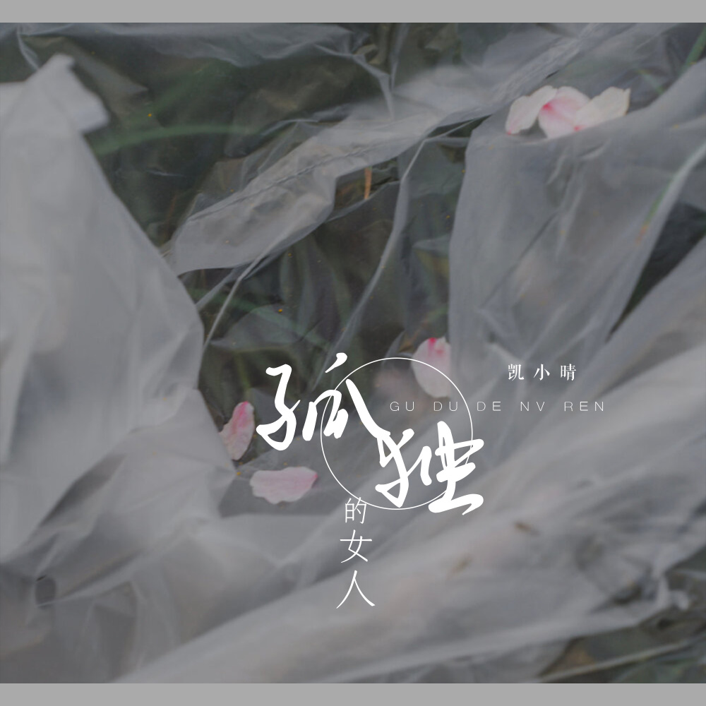 孤独的女人 (DJ阿卓版伴奏)