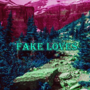 DJ Kool的專輯Fake Loves