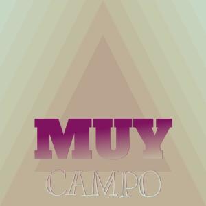 Listen to Find Steal song with lyrics from Mosee Guter