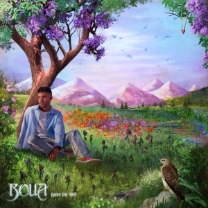 ดาวน์โหลดและฟังเพลง Bare Du Vet พร้อมเนื้อเพลงจาก Boua
