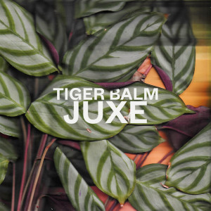 Listen to Tiger Balm song with lyrics from Juxe