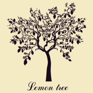 ดาวน์โหลดและฟังเพลง Lemon Tree พร้อมเนื้อเพลงจาก Jemme