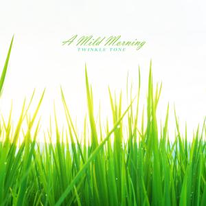 Album A Mild Morning from Twinkle Tone