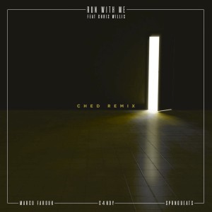 Listen to Run With Me (Ched Remix) song with lyrics from Marco Farouk