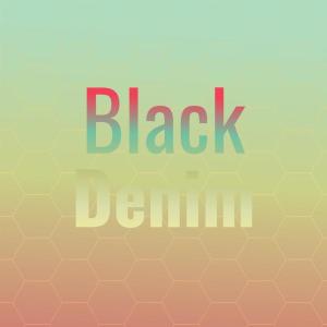 Listen to Black Denim song with lyrics from The Hondells