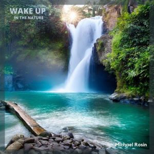 Listen to Wake up Sunshine song with lyrics from Michael Rosin