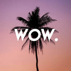 Listen to Wow. (Explicit) song with lyrics from Vibe2Vibe