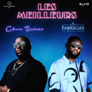 อัลบัม Les Meilleurs (Vici) (feat. Fabregas le Métis Noir) ศิลปิน 