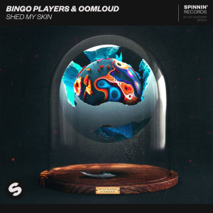 收聽Bingo Players的Shed My Skin歌詞歌曲
