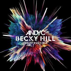 อัลบัม Indestructible (Joshwa Remix) ศิลปิน Andy C