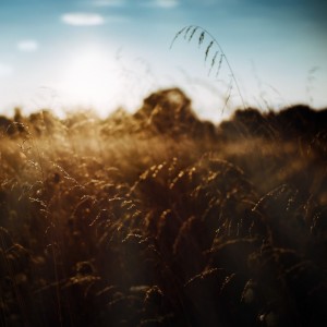 Listen to Mist song with lyrics from Elsei