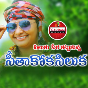 Listen to Silku Seera Kattukunna song with lyrics from Gaddam Ramesh