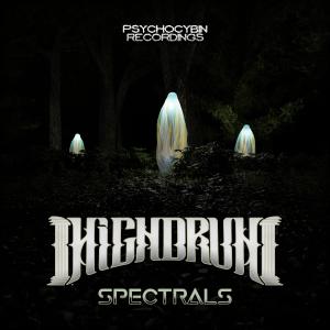 ดาวน์โหลดและฟังเพลง Spectrals พร้อมเนื้อเพลงจาก HighdruH