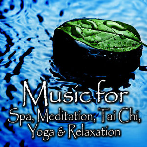 Spa Music Players的專輯Music for Spa, Meditation, Tai Chi, Yoga & Relaxation