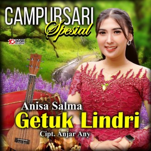 收听Anisa Salma的Getuk Lindri歌词歌曲