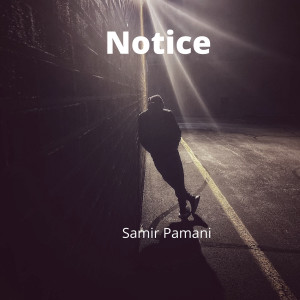 Samir Pamani的专辑Notice (Explicit)