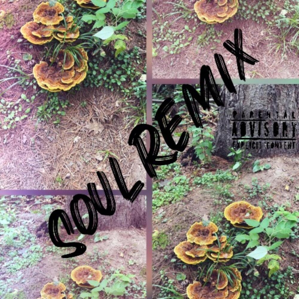 New Me (Remix|Explicit)