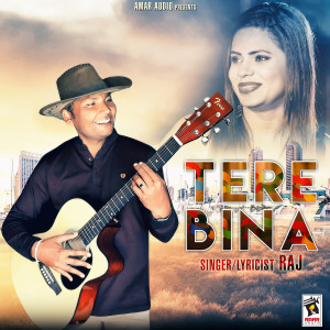 ดาวน์โหลดและฟังเพลง Tere Bina พร้อมเนื้อเพลงจาก Raj