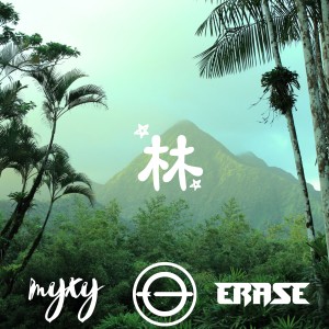 Listen to 林 (完整版) song with lyrics from COLLAPSAR NOTES