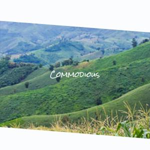Listen to Loved Organic song with lyrics from Riego Donal