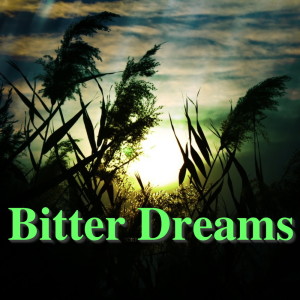 ดาวน์โหลดและฟังเพลง Nervous Wreck (Explicit) พร้อมเนื้อเพลงจาก Public Disgrace