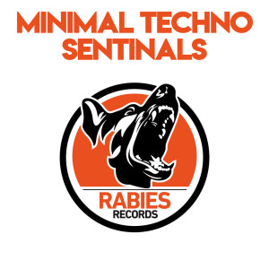 Various的专辑Minimal Techno Sentinals