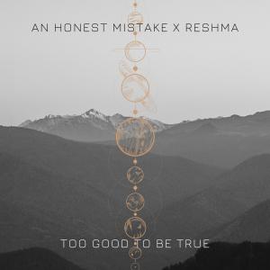 อัลบัม Too Good To Be True ศิลปิน An Honest Mistake