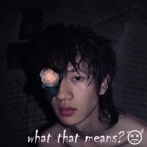 Album what that means ?（什么意思？） oleh 鹿子野