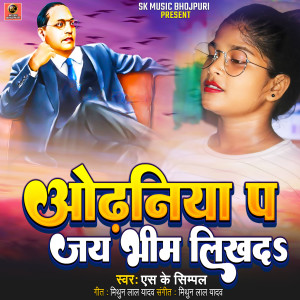 Listen to Odhaniya Pe Jay Bhim Likh D song with lyrics from Sk Simpal