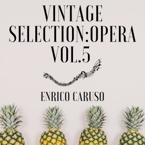 Vintage Selection: Opera, Vol. 5 (2021 Remastered)