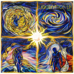 Various Artists的專輯Electrosoul System Presents LiquiDNAtion LP Part 1