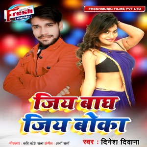 Dinesh Deewana的专辑Jiya Bagh Jiya Boka