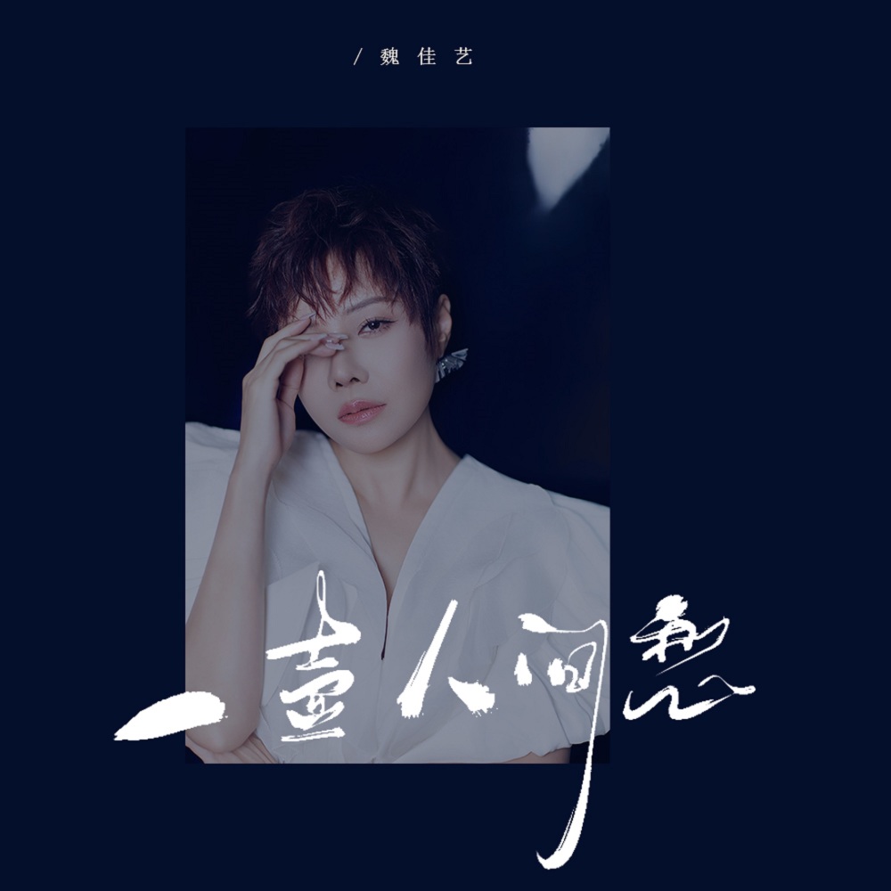 一壶人间愁 (Dj沈乐版伴奏)