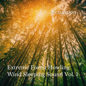อัลบัม Relaxation: Extreme Forest Howling Wind Sleeping Sound Vol. 1 ศิลปิน Forest Sounds