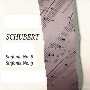 ดาวน์โหลดและฟังเพลง Symphony No. 9 in C Major, D. 944: I. Andante พร้อมเนื้อเพลงจาก Vienna Philharmonic Orchestra