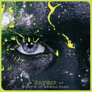 Dengarkan What's It Gonna Take (Instrumental Version) lagu dari Katnip dengan lirik