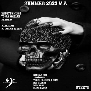 Various Artists的專輯SUMMER 2022 V.A.