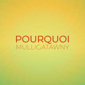 Dengarkan Pourquoi Mulligatawny lagu dari Andi Maen dengan lirik