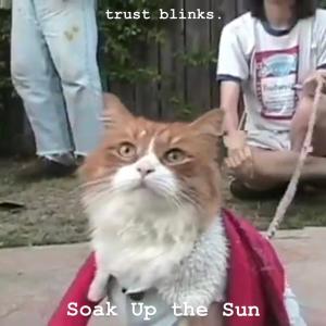 收聽trust blinks.的Soak Up the Sun歌詞歌曲