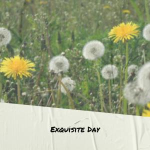 Listen to Exquisite Day song with lyrics from Miel Nesan