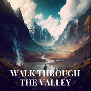 Various的專輯Walk Through the Valley