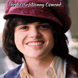 ดาวน์โหลดและฟังเพลง A Teenager In Love พร้อมเนื้อเพลงจาก Donny Osmond