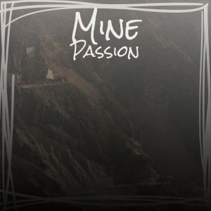 Various Artists的專輯Mine Passion