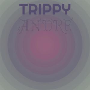 Various Artists的專輯Trippy Andre