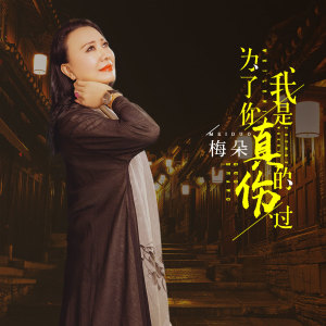 Listen to 为了你我是真的伤过 (伴奏) song with lyrics from 梅朵